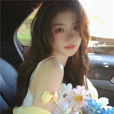 关于帕姆的那些事